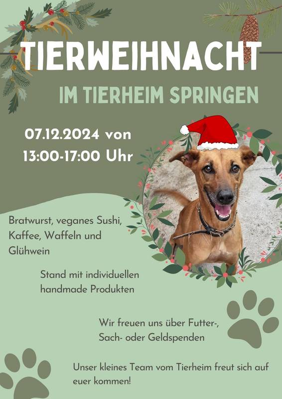 Flyer_Tierweihnacht (2).jpg